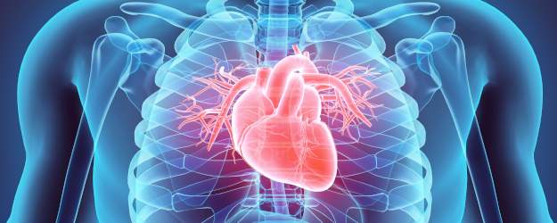 How prepared would you be to get Accreditation for Cardiovascular Excellence (ACE)?